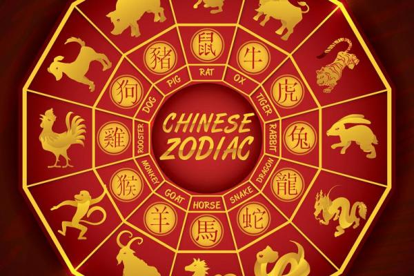 十二生肖在的财运、事业和感情运势解读 十二生肖在的财运、事业和感情运势解读