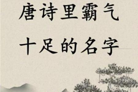 霸气十足的四字名字，让你脱颖而出
