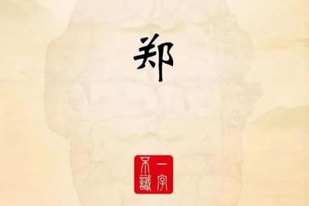 如何为姓郑的男宝宝起个独特且有意义的名字