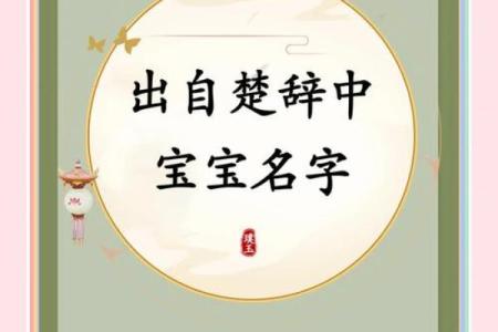 宝宝名字创意无限，使用免费起名软件轻松选择