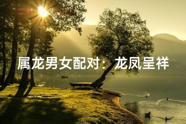 属龙男和属牛女是否天生一对 属龙男和属牛女是否天生一对