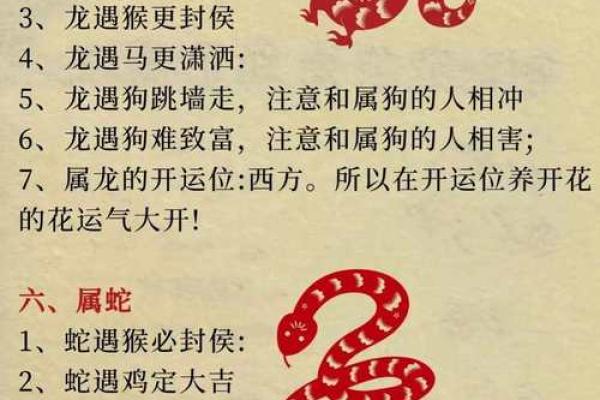 出生的生肖是什么 详解属相特征与命运解析 出生的生肖是什么 详解属相特征与命运解析