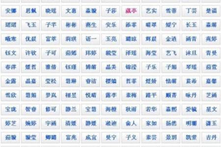 男宝宝取名大全：独特且寓意深远的名字选集