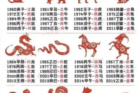 诞字五行属什么？揭秘其背后的五行秘密