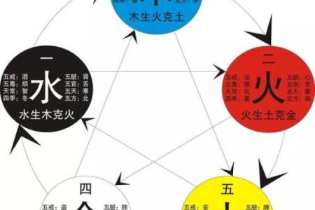 遲字五行与命理的关系解析，如何影响你的运势
