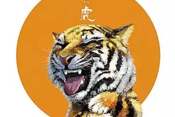 探索虎猪配对的性格与运势 探索虎猪配对的性格与运势
