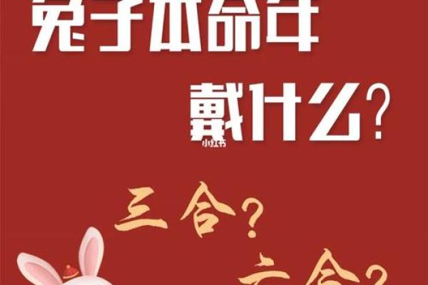 本命年羊女如何破解职场中的困境 本命年羊女如何破解职场中的困境