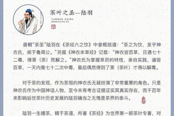 茶的世界:品味千年文化的悠远名字 茶的世界:品味千年文化的悠远名字