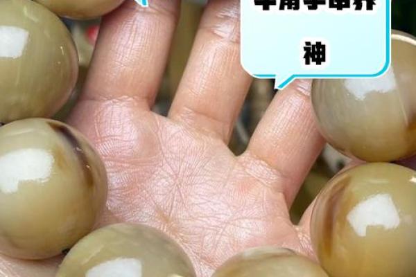 打造旺财环境：牛角招财风水的五大要素
