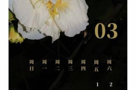 2000年万年历：揭秘岁月流转中的每一个瞬间