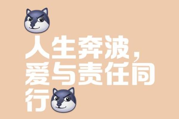 奔波劳碌命:现代人无法逃脱的生活模式 奔波劳碌命:现代人无法逃脱的生活模式