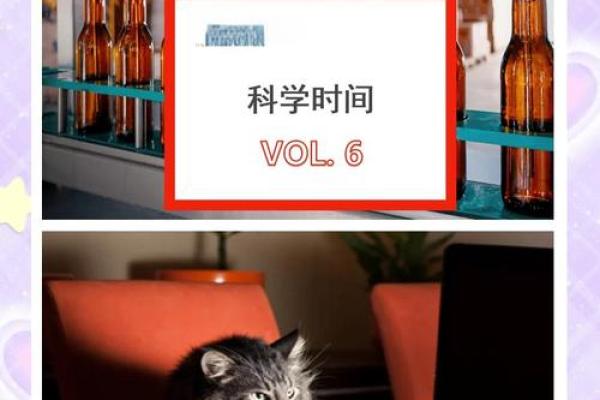6月初6，揭秘神奇日子背后的秘密