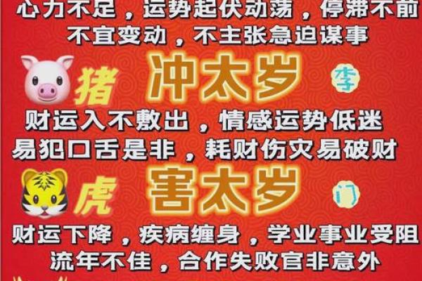 本命年蛇女的情感波动与自我调节 本命年蛇女的情感波动与自我调节