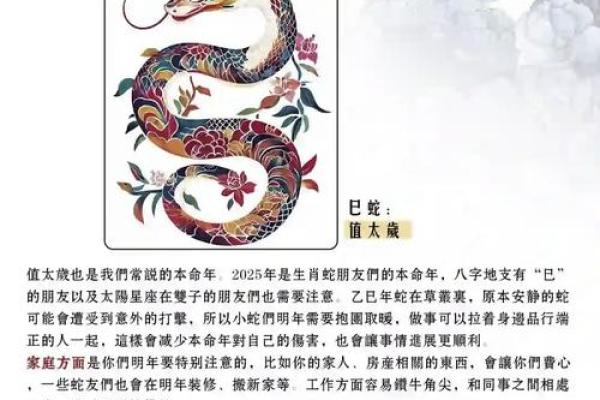 属龙男与属猴女是否合适?探讨两者关系的潜力 属龙男与属猴女是否合适?探讨两者关系的潜力