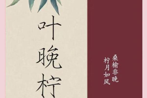 从古典到现代:为女孩挑选最具韵味的名字 从古典到现代:为女孩挑选最具韵味的名字
