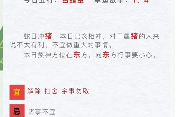 年运势解析:每月运程和幸运提示 年运势解析:每月运程和幸运提示