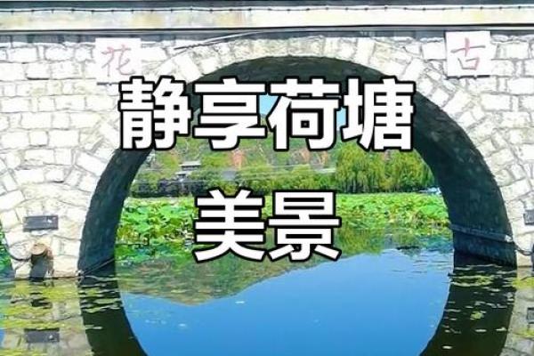 池畔风光:感受池水带来的平和与清新 池畔风光:感受池水带来的平和与清新