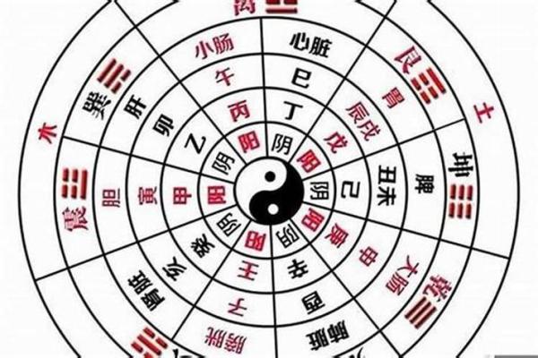 从命理角度看假纯阳命的运势与挑战 从命理角度看假纯阳命的运势与挑战