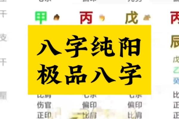 从命理角度看假纯阳命的运势与挑战 从命理角度看假纯阳命的运势与挑战