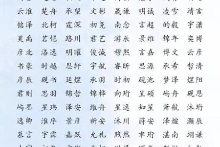 免费宝宝起名字测试：找到最适合宝宝的名字