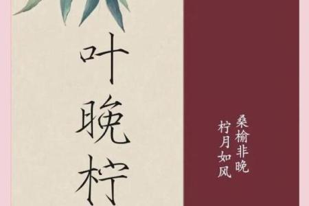 从古典到现代：为女孩挑选最具韵味的名字