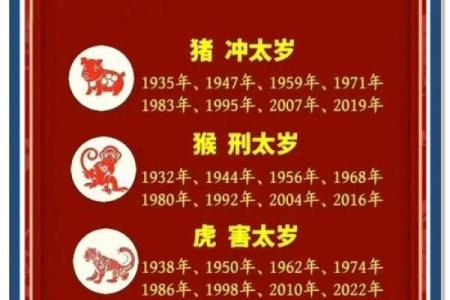 本命年虎男的健康饮食与生活方式