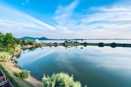 池畔风光：感受池水带来的平和与清新