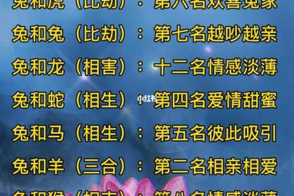 属鼠与属龙配对解析 命运中的相辅相成 属鼠与属龙配对解析 命运中的相辅相成