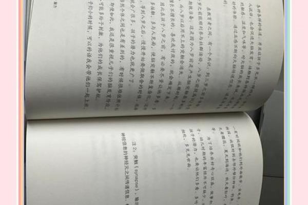 从美玲的名字看人生中的美丽与智慧 从美玲的名字看人生中的美丽与智慧