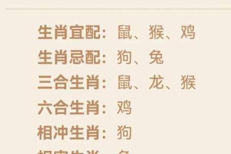 属鼠与属龙配对解析 命运中的相辅相成