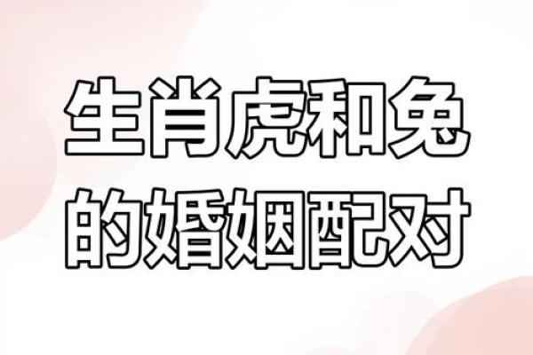女属虎男属马是否合适的八个关键因素分析 女属虎男属马是否合适的八个关键因素分析