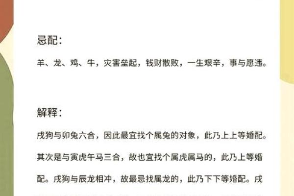 生肖羊与生肖虎的搭配解析 生肖羊与生肖虎的搭配解析