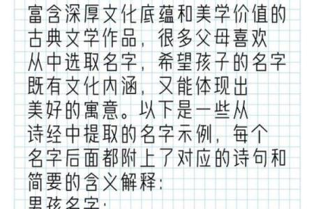宝宝名字的选择与寓意解析