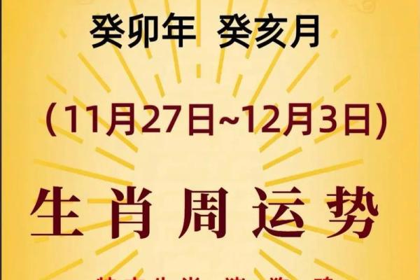 每周生肖运程预测,掌握未来一周的吉凶运势 每周生肖运程预测,掌握未来一周的吉凶运势