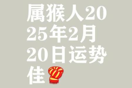 属猴人本命年如何提升自我价值