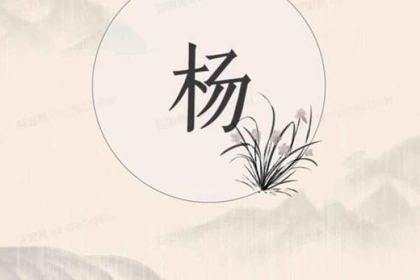 宝宝起名推荐：杨字带来的吉祥寓意