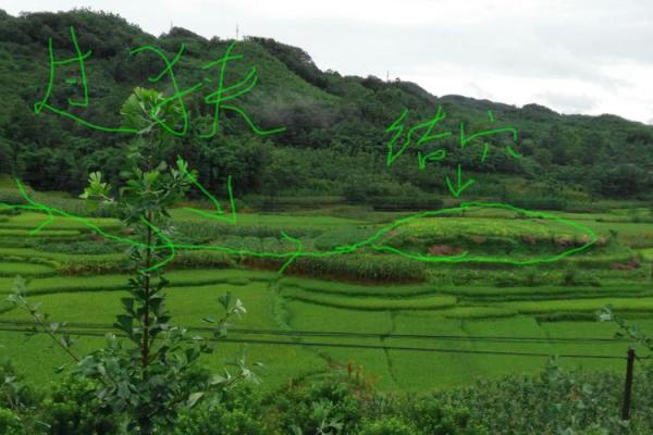 成都风水穴揭秘:探索城市中的神秘气场与运势布局 成都风水穴揭秘:探索城市中的神秘气场与运势布局