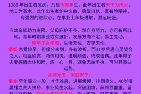 本命年属虎如何在事业中更进一步