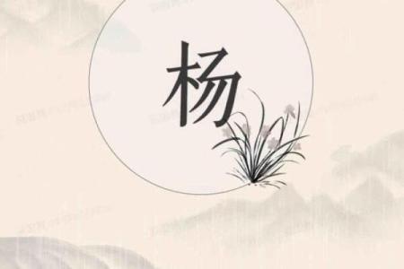 宝宝起名推荐：杨字带来的吉祥寓意
