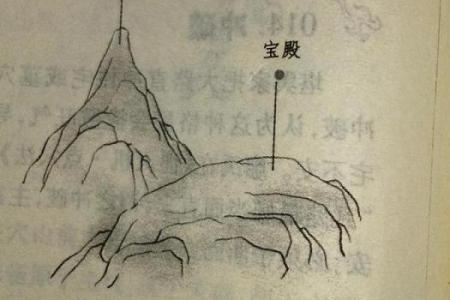 从董易林风水讲座视频看如何运用风水改善生活