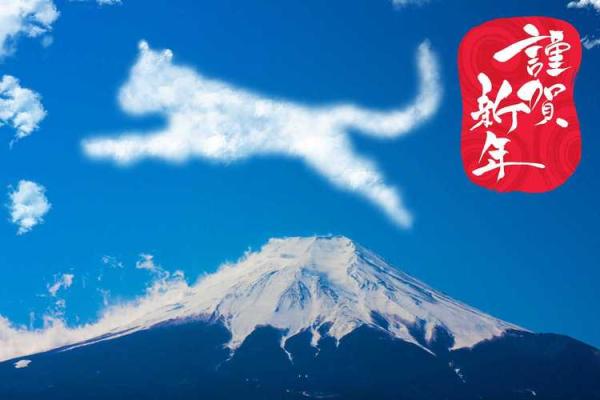 本命年虎男如何选择适合自己的职业 本命年虎男如何选择适合自己的职业