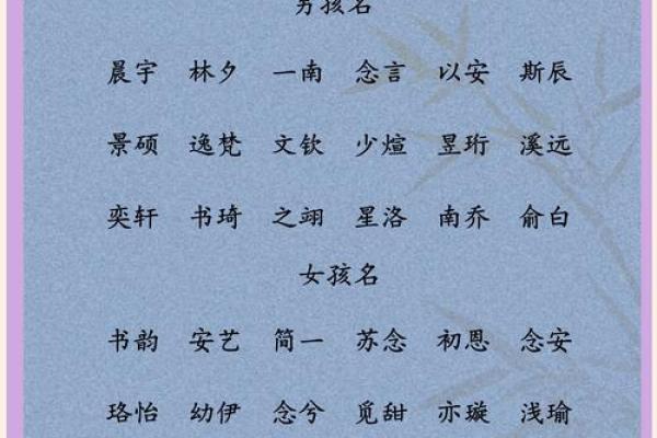 宝宝名字中的文化传承与现代风格 宝宝名字中的文化传承与现代风格