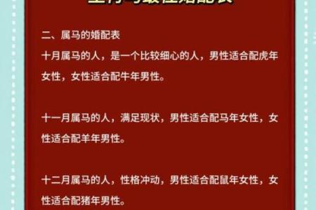 马相配：如何为马年出生的人选择合适的伴侣