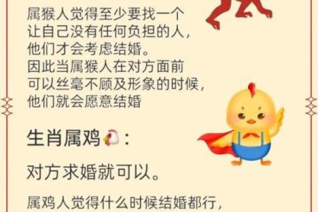 属龙与属马的婚配如何影响感情和事业发展