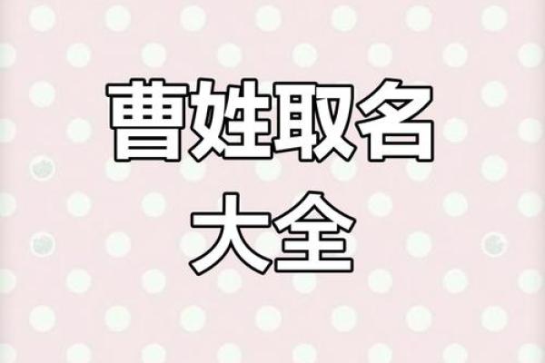 曹姓女孩起名推荐:独特而有意义的名字解析 曹姓女孩起名推荐:独特而有意义的名字解析