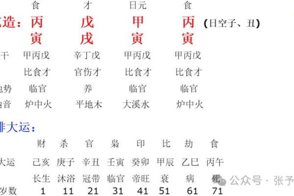 丙寅年火命的深层解析与命理意义 丙寅年火命的深层解析与命理意义