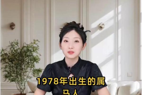 出生的人属马,命运如何影响他们的一生 出生的人属马,命运如何影响他们的一生