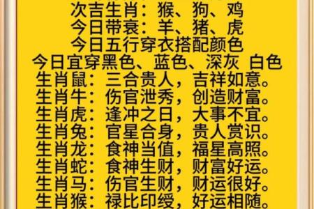 生肖与运势：如何在这一年把握最佳机会