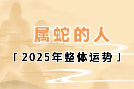 本命年蛇男的感情运势解析与建议