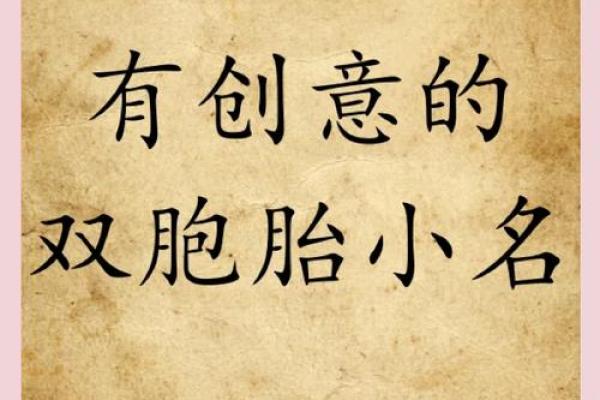 创意十足的男孩双胞胎名字推荐大全 创意十足的男孩双胞胎名字推荐大全
